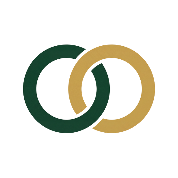 BVA-Consulting Logo